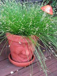 We did not find results for: Fiber Optic Grass Fiber Fiber Optic Planter Pots