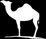 In archive amount of tracks: Camel Squigely Fair Youtube