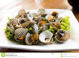 Coque Fruits De Mer De Coquille De Coque Dans La Table De Salle A Manger Photo Stock Image Du Fruits Coque 103828108