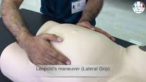 Image result for Compound Presentation