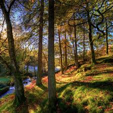 (there are 502 photos in this photo gallery.) Land Could Be Worth More Left To Nature Than When Farmed Study Finds Environment The Guardian