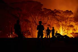 Thus far, the fires have ravaged over 9,000 hectares (22,200 acres) of farmland across eastern perth, and they're forecasted to continue for the next. 11 Facts About The Devastating Wildfires In Australia