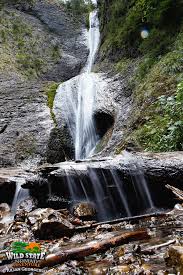 Cascada duruitoarea din ceahlau si un alt drum cu peripetii. Poienile Albe Wildstate
