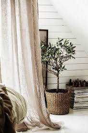 Home Trend Indoor Olive Tree Indoor Olive Tree Rustic Master Bedroom Tree Bedroom