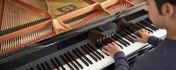 Gramado is one of the towns along the scenic route known as rota romântica. Gb1k Grand Pianos Pianos Musical Instruments Products Yamaha Usa