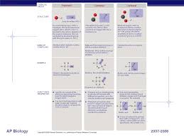 Ap Biology Chemistry Of Carbon Building Blocks Of Life