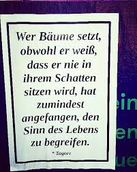 Wir wollen hier eine sammlung der besten berlin sprüche starten. Tagore Zitat Berlin Weisheiten Zitate Sinn Des Lebens
