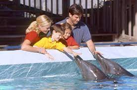 Meet Dolphins And More At The Gulfarium On Okaloosa Island Beach Trip Okaloosa Island Places To Travel
