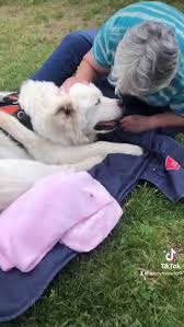 Please feel free to browse our pages to learn more about preplanning a funeral and grief support, as well as the traditional funeral and cremation services that we have to offer at our toronto funeral home. Thistledown Pet Memorial Home Facebook