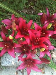 It also allows us to focus on each resident's interests to create more fulfilling individual. Fpvroswqf8f95m