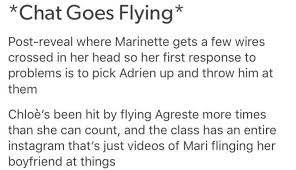 Pin By C A M O On Miraculous Ladybug Textposts Miraculous Ladybug Memes Miraculous Ladybug Comic Miraculous Ladybug Funny