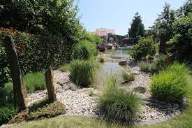 Gartenhäuser, zäune, pavillons, gartenmöbel, saunen und viele weitere gartenartikel kaufen. Ring Garten Und Landschaftsbau Home
