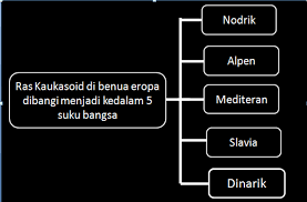 Sebagian besar penduduk eropa berkulit putih. Kharis Blog Edu Dinamika Penduduk Benua Eropa
