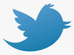 Download download logo pairing lockups. Old Twitter Logo Png Transparent Png Transparent Png Image Pngitem