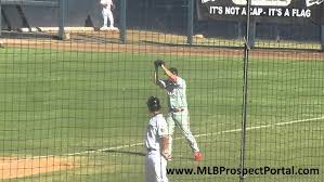 Nationals RHP Pat Lehman vs Mets OF Juan Lagares Arizona Fall League 2011  pop out