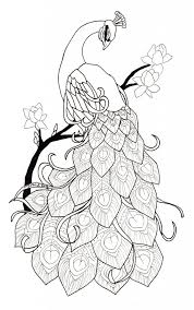 Peacock Tattoo Peacock Drawing Peacock Art Peacock Coloring Pages