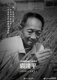 大师故去 生前采访 视频怀念 贡献：高产水稻 贡献：海水稻. Xmvwxxe Ku5mzm
