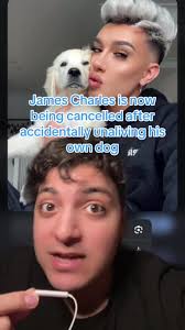James Charles Dog Incident Explained