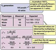 Genetics Chi Square Google Search Chi Square Genetics Science