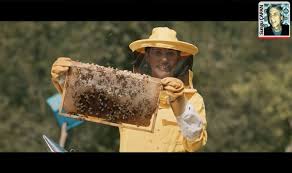 Arı vız vız vız diye dolaşır. Ari Viz Viz Vizz