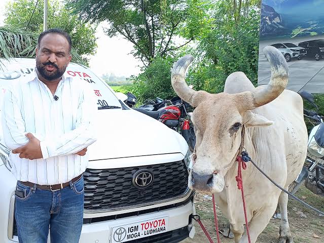 Moga Customer Protest: Bullock Cart Used Against Toyota Innova RC Delay