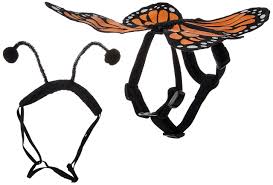 Buy seafood squid wings from alibaba.com to satiate your hunger for scrumptious and mouthwatering seafood dishes. Amazon Com Zack Zoey Butterfly Glow Harness Costume For Dogs Small Pet Supplies