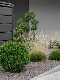 Garden Our Garden In September Mxliving Garden Our Garden In September Mxliving Ga In 2020 Shed Landscaping Backyard Landscaping Designs House Landscape