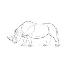 On the african savannah it is survival of the fittest, so animals must be fast in order to hunt, or fast in order to avoid the hunters. How To Draw African Animals For Android Apk Download