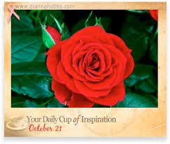 We did not find results for: God Wants You To Bloom Your Daily Cup Of Inspiration