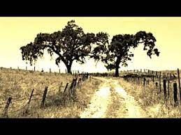 Here is a fruit for the crows to pluck, for the rain to gather, for the wind to suck, for the sun to rot, for a tree to drop, here is a strange and. Billie Holiday Strange Fruit Commodore Records 1939 Youtube