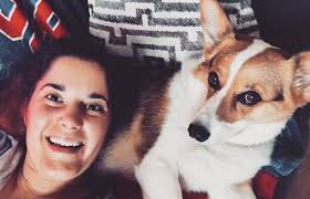 Check spelling or type a new query. Home Secret Life Of A Pet Sitter
