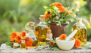 Externe anwendung von calendula alkohol tinktur. Ringelblume Heilpflanzen Bei Der Klosterl Apotheke