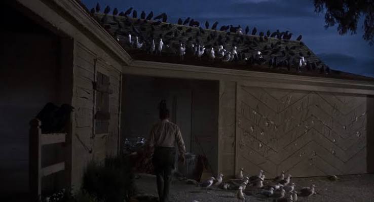 Alfred Hitchcock's 'The Birds' Explained: Nature's Revenge – Creepy Catalog