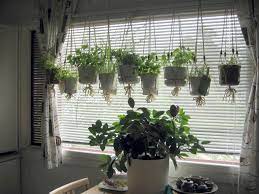 10 Kitchen Window Garden Ideas Amazing As Well As Stunning Window Herb Garden Herb Garden In Kitchen Indoor Herb Garden