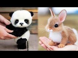 Animals Soo Cute Cute Baby Animals Videos Compilation Cutest Moment Of The Animals 9 Youtube In 2020 Cute Baby Animals Baby Animals Funny Baby Animal Videos