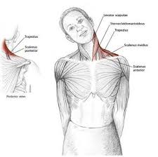 Pin On Health And Fitness