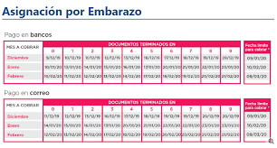 Como cobrar la asignación de hasta $13.000 para monotributistas; Cuando Cobro Calendario De Pago De Anses De Jubilaciones Y Asignaciones El Cronista
