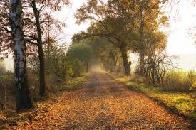 die schonsten herbstfotos farben orange geld und rot allgau urlaub ausflug urlaub