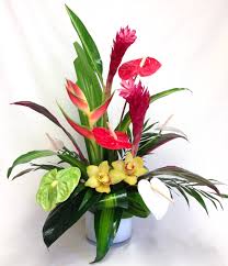 Maybe you would like to learn more about one of these? Lahaina In Costa Mesa Ca Island Florals