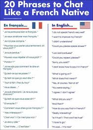 Chat In French French Flashcards French Language Lessons Basic French Words