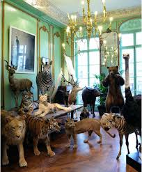 Deyrolle Paris Mb Tierpraparation Kunst Gedenken