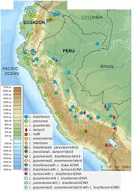 Never miss another show from david matos velez. Frontiers Prevalence Of Genetically Complex Leishmania Strains With Hybrid And Mito Nuclear Discordance Cellular And Infection Microbiology