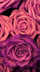 93,000+ vectors, stock photos & psd files. Flowers Colour Nature Background Rose Fondos Heart Https Weheartit Com Entry 32185174 Flower Background Iphone Wallpaper Iphone Summer Trendy Flowers