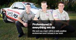 At pestex, pest control is in our blood. Http Www Pest Ex Com Au Professionals In Every Way Pest Control Gold Coast Pest Inspection Pest Control Termite Treatment