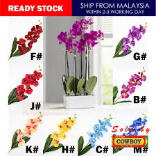 Detail dari gambar gubahan bunga orkid tiruan artificial orchid flower latex home furniture home decor on carousell. Butterfly Orchid Flower Artificial Flower Bunga Orkid Home Decor Gubahan Bunga Okid Fl693
