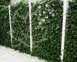 Pin Auf Garten
