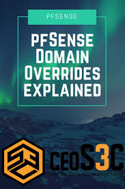 Many Of You Asked Me To Give You A Short Introduction Into Domain Overrides Pfsense Domain Overrides Webservice Cyber Security Linux Programming Tutorial