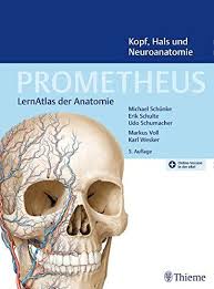 Prometheus Kopf Hals Und Neuroanatomie Lernatlas Anatomie Hals Kopf Prometheus Und Buchclub Bucher Bucher Anatomie