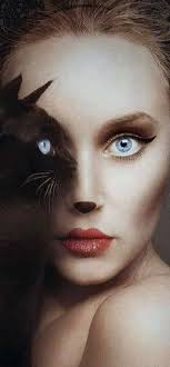 Why does this remind me of almond cat and hour of devistation?