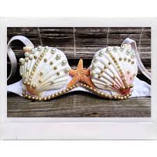 This is a blog about fashion, style and beauty. 11 Enchanting Seashell Bra Diys Guide Patterns